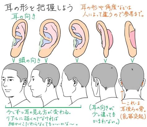 耳形相学|耳の形や種類で性格・運勢がわかる？左右違うなど人相学におけ。